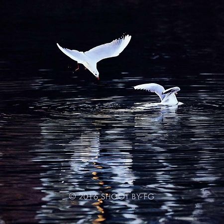Gite Bord De Marne Paris Бри-сюр-Марн Экстерьер фото